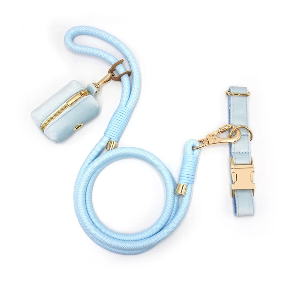 Set collare e guinzaglio per cani personalizzati in velluto blu cielo Collare per cani di sicurezza anti-smarrimento con set regalo collare per animali domestici di lusso in corda rotonda
