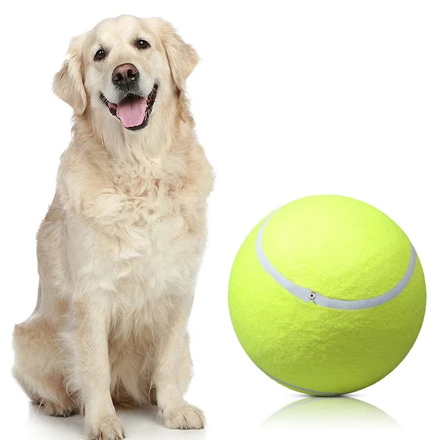 Palla da tennis gigante gonfiabile da 9,5 pollici per animali domestici Giocattolo da masticare per cani Giocattoli interattivi e per il tempo di gioco