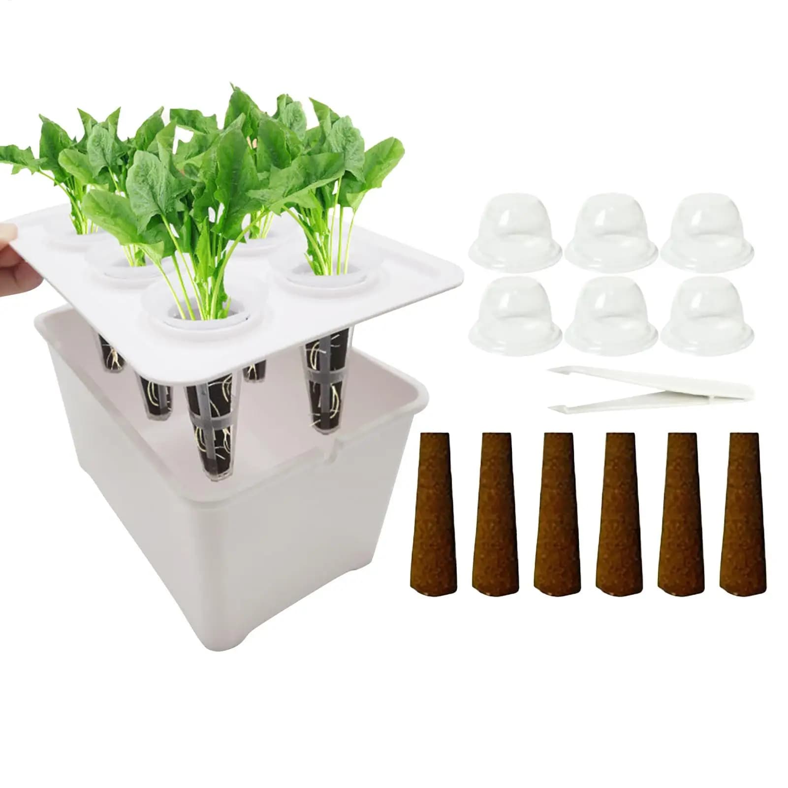 Departure tray for sowing Cover for 6 cells Propagator for greenhouse Trays for germination Plants for flowers Vegetables Interior