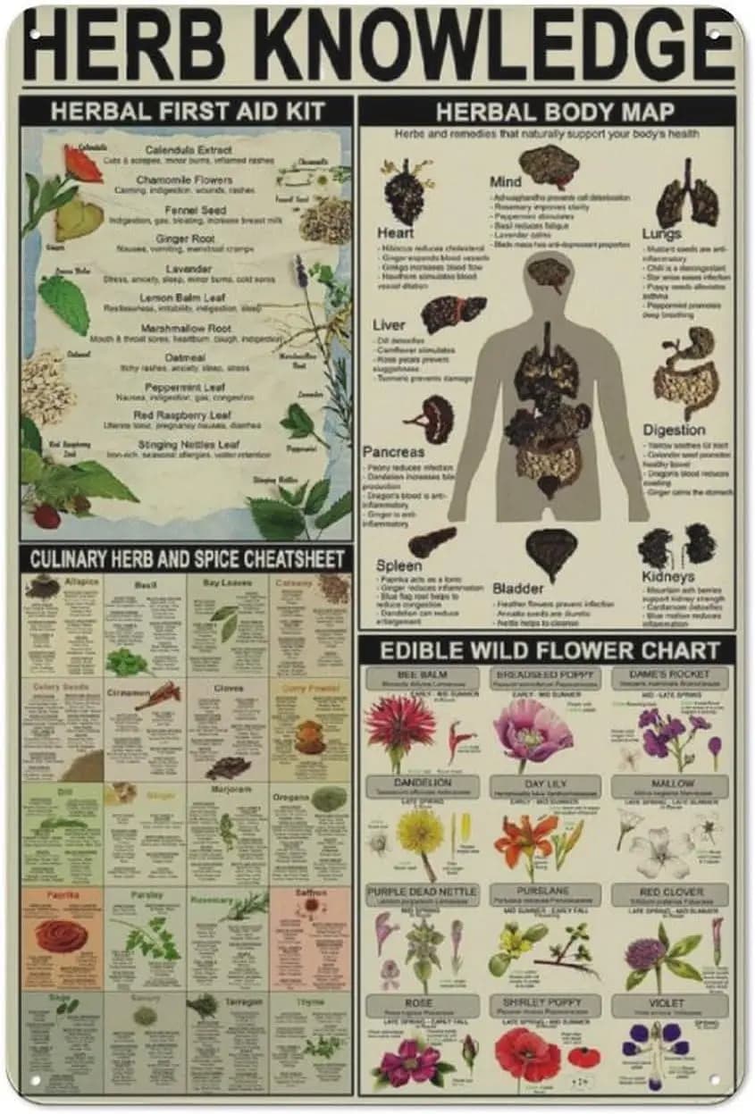 Herb Knowledge Metal Tin Signs Herbal First Aid Kit infografica Poster guida allo studio del farmacista targa di latta Home Pharmacy Office Ki