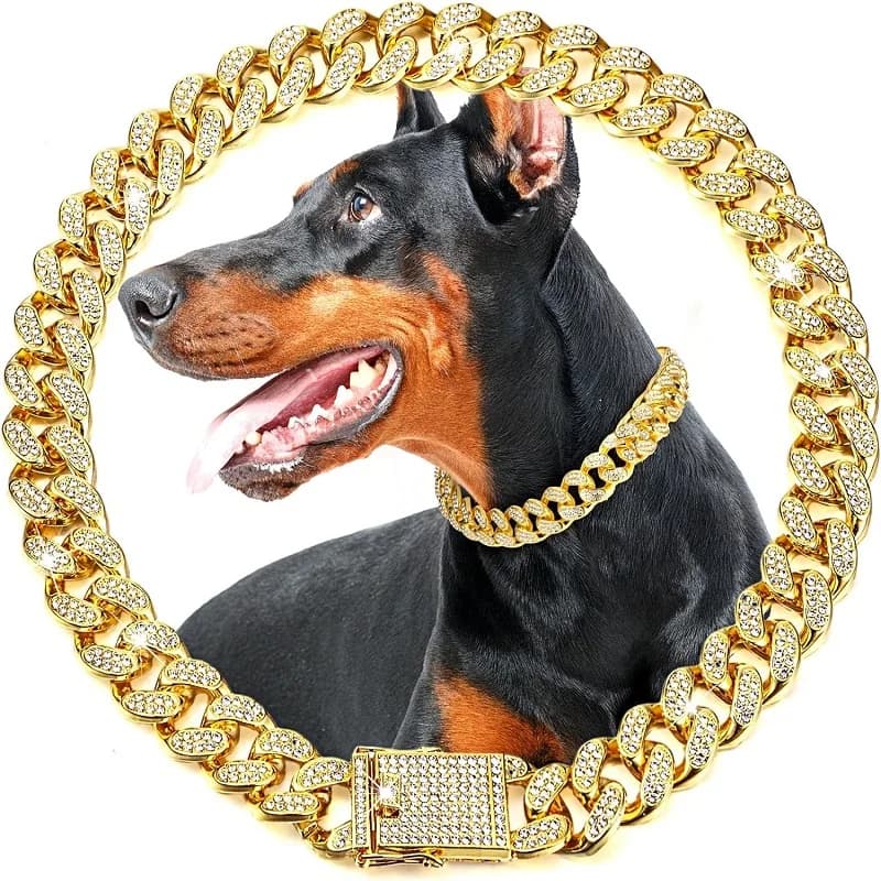 Collare a Catena per Cani, Lussuoso Collare in Metallo Dorato per Cani Piccoli, Medi e Grandi, Gatti, Gioielli e Accessori per Animali Domestici