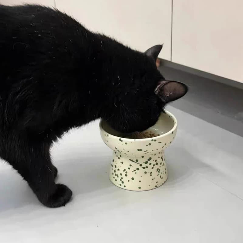 Creative Cat Bowl, Ceramic Drinking Water Food Tall footed Bowl Anti Overturning Neck Protection Large Caliber Pet Supplies, 1Pc