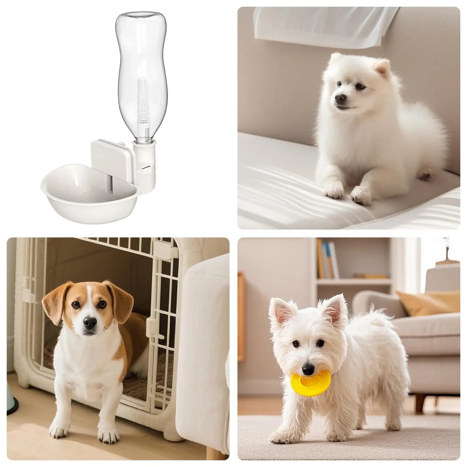 Bottiglia d'acqua per animali domestici, anti-goccia, anti-rovesciamento, dispenser per acqua per cani, gatti, furetti, criceti, scoiattoli, da usare in gabbia.