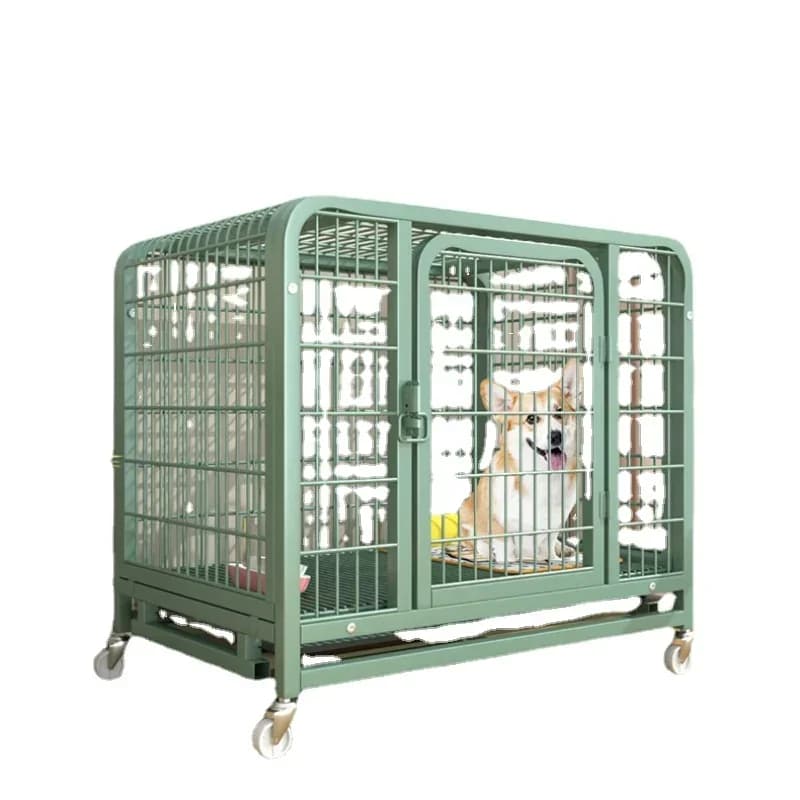Cestino per cani rimovibile per interni con toilette Teddy By Bear Corgi Dog House Letto per cani a tubo quadrato audace