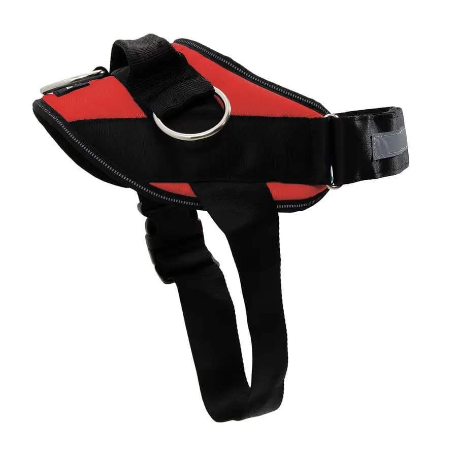 Pettorina Essenziale per Cani, Gilet Anti-Tiro con 3 Clip per Guinzaglio, Anti-Strozzamento, Riflettente, Regolabile e Imbottita, per Passeggiate e Viaggi Facili
