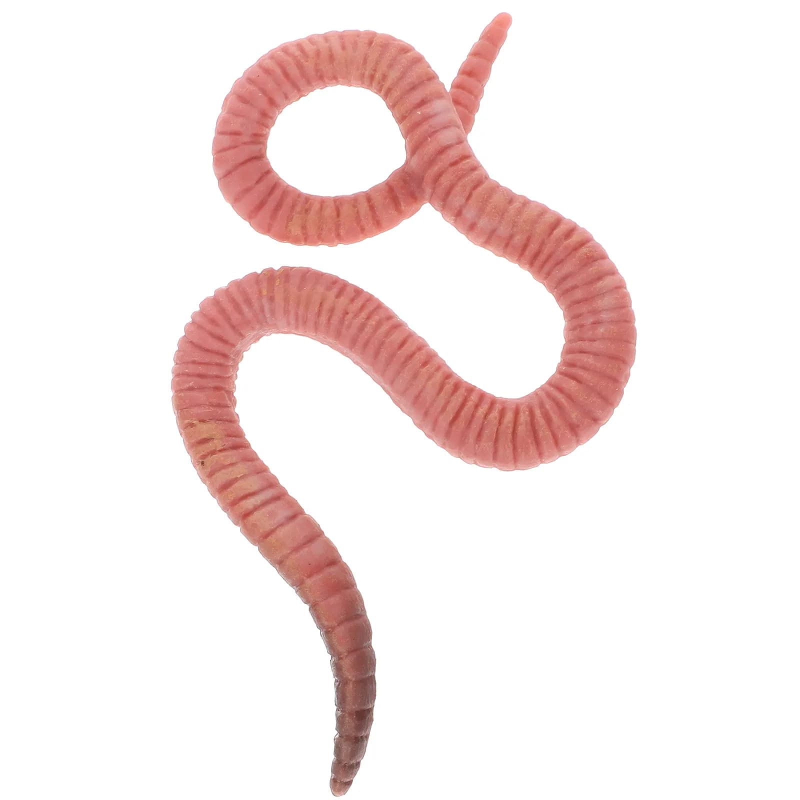 Decorazione Realistica di Lombrichi, Ornamento Insetto in Plastica Realistico per Camere dei Bambini, Giardino, Scrivania, Scenografia Educativa, Piccolo