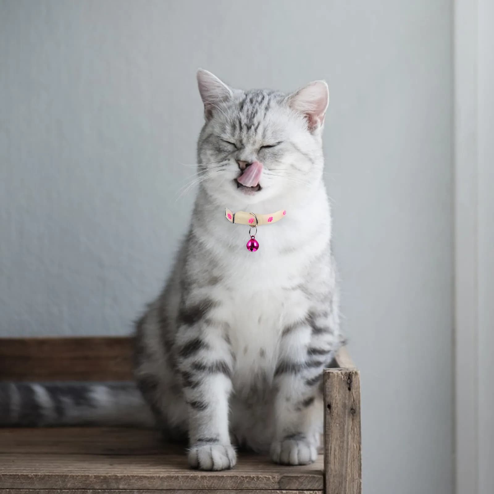 Collare fluorescente per animali domestici, 3 pezzi, in silicone, colori brillanti, con campanello, anti-smarrimento, per cani e gatti, comodo e traspirante