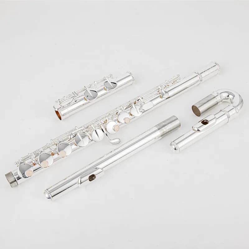 Sankyo AF301 Flauto Alto G Tune 16 Tasti a Foro Chiuso Placcato in Nastro Strumento Musicale Professionale con custodia spedizione gratuita