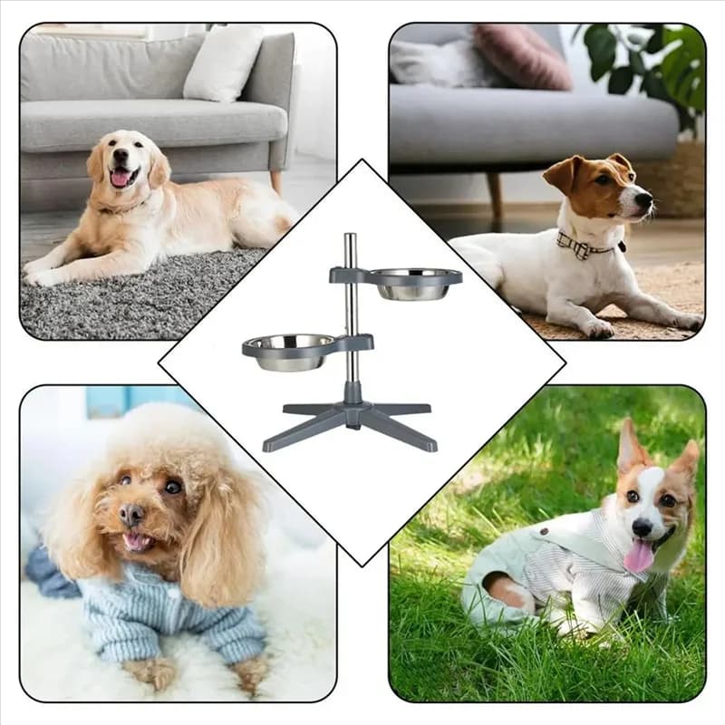 Ciotole per cani Altezza regolabile Antiscivolo Sollevato Stazione di alimentazione per gatti domestici Ciotole per alimenti antiscivolo per cuccioli con stand-B51B