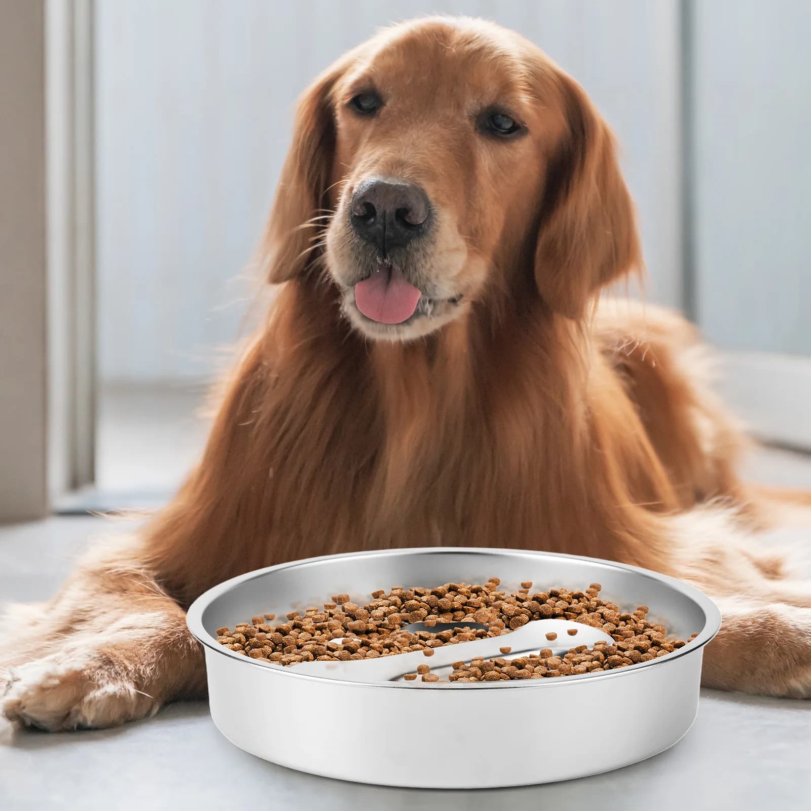 Ciotole per Cani in Acciaio Inox 304 Anti-Soffocamento, Ciotola per Acqua e Cibo per Cani di Piccola e Media Taglia