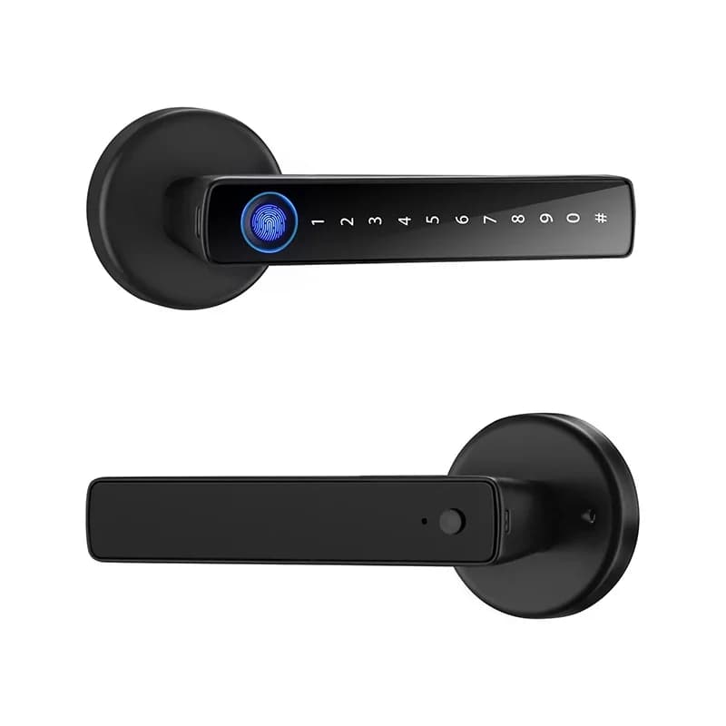 Con Tuya biometrico impronta digitale serratura intelligente password impronta digitale maniglia per porta di sicurezza senza chiave casa