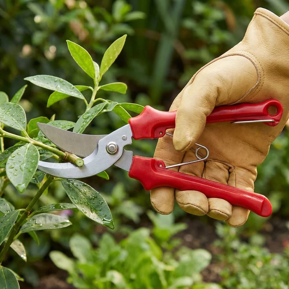 Household Stainless Steel Elbow Pruning Shears Sharp Blade Thick Branches Potting Repair ABS Antiskid Handle Garden Scissors