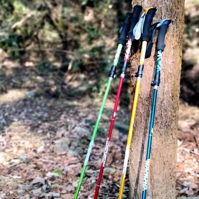 Bastone da Trekking Pieghevole in Alluminio a 5 Sezioni per Campeggio, Escursionismo e Nordic Walking, Telescopico e Facile da Riporre, Ideale per Anziani