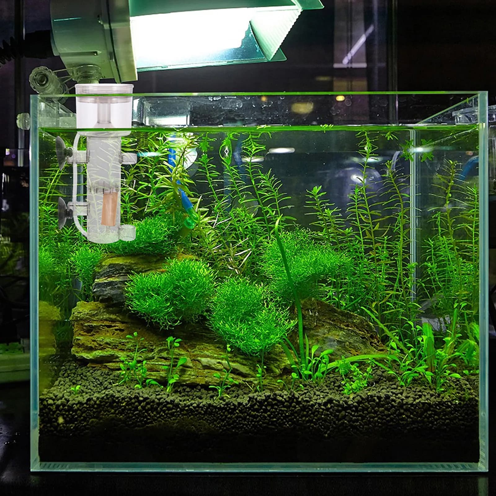 2 Pezzi Diffusore d'Aria in Legno Naturale per Acquario, Pietra per Schiumatoio Proteico, Accessorio per Ossigenazione