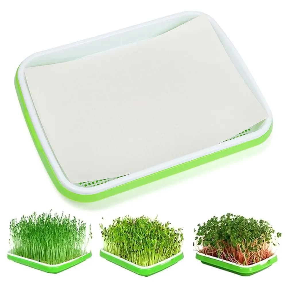 Vase for Hydroponic Cultivation from Exterior and Interior, Tray Germinator for Seeds, Container for Plants, Planter
