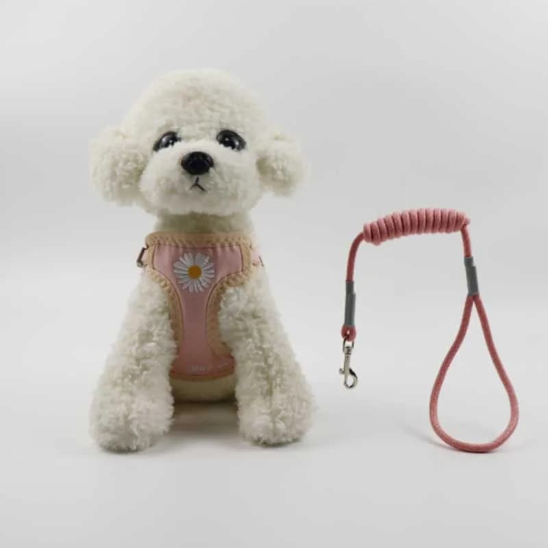 Set di pettorine per animali ricamate floreali - Gilet per cani in rete regolabile con guinzaglio, design senza tirare per barboncino, Bichon