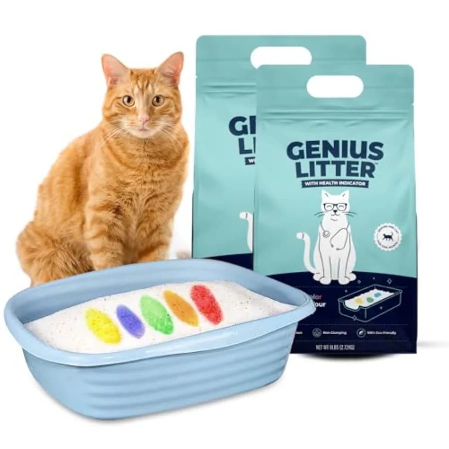Lettiera per Gatti con Monitoraggio della Salute, Presentata su Shark Tank, Leggera in Gel di Silice Cristallino, Non Agglomerante, Senza Polvere, a Basso Contenuto di Odori