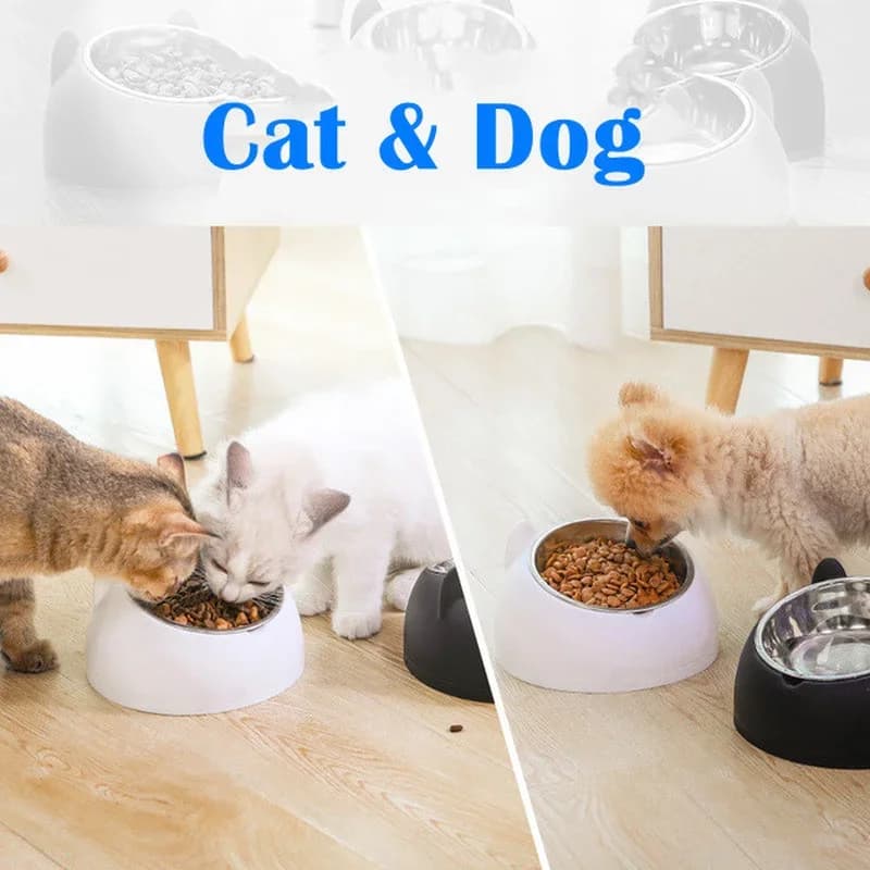 Detachable Pet Bowl Cute Cat and Dog Bowl Protection Cervical Vertebra 15 Degree Oblique Mouth Pet Stainless Steel Food Bowls
