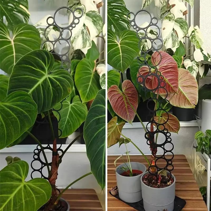 Supporto per Piante Rampicanti in Ferro Battuto, Resistente alla Ruggine, per Decorazione Giardino Interno e Vasi