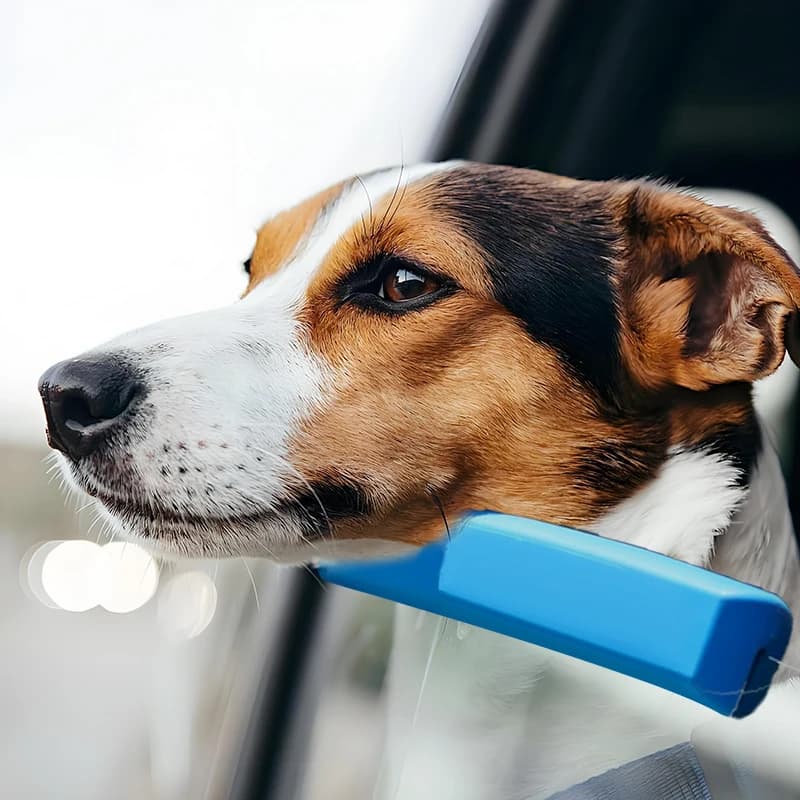 Cuscino per Finestrino Auto in Memory Foam Blu da 25 cm per Cani – Morbido Poggiatesta per il Comfort, Previene il Lanciare delle Zampe e Supporta il Collo Durante i Viaggi