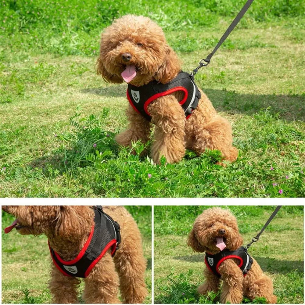 Cinghie pettorali traspiranti piccole e medie Guinzaglio per cani da compagnia Gilet in rete Imbracatura per cuccioli riflettente