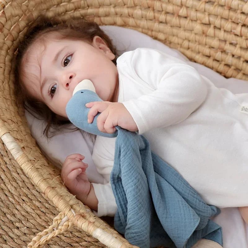 Bambino Succhietto Placare Asciugamano Bavaglino Morbido Animale Ganso Bambola Massaggiagengive Neonati Comfort Dormire Allattamento Coccole Coperta Giocattoli