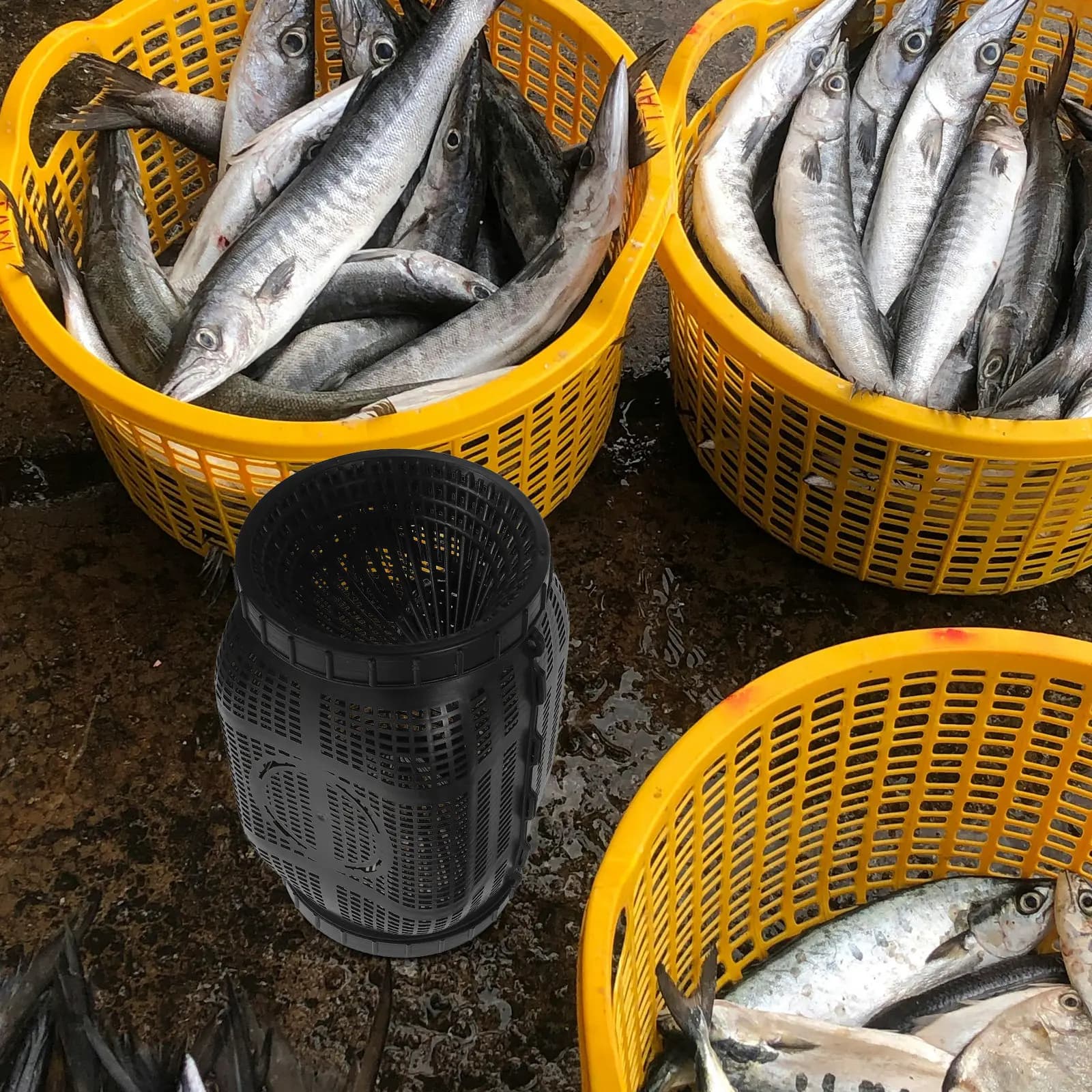 Grande Gabbia Rotonda per Pesci a Fondo, Rete Anti-Fuga per Laghetti, Fiumi, Stagioni, Facile da Installare, Cesto per Pesca e Alimentazione