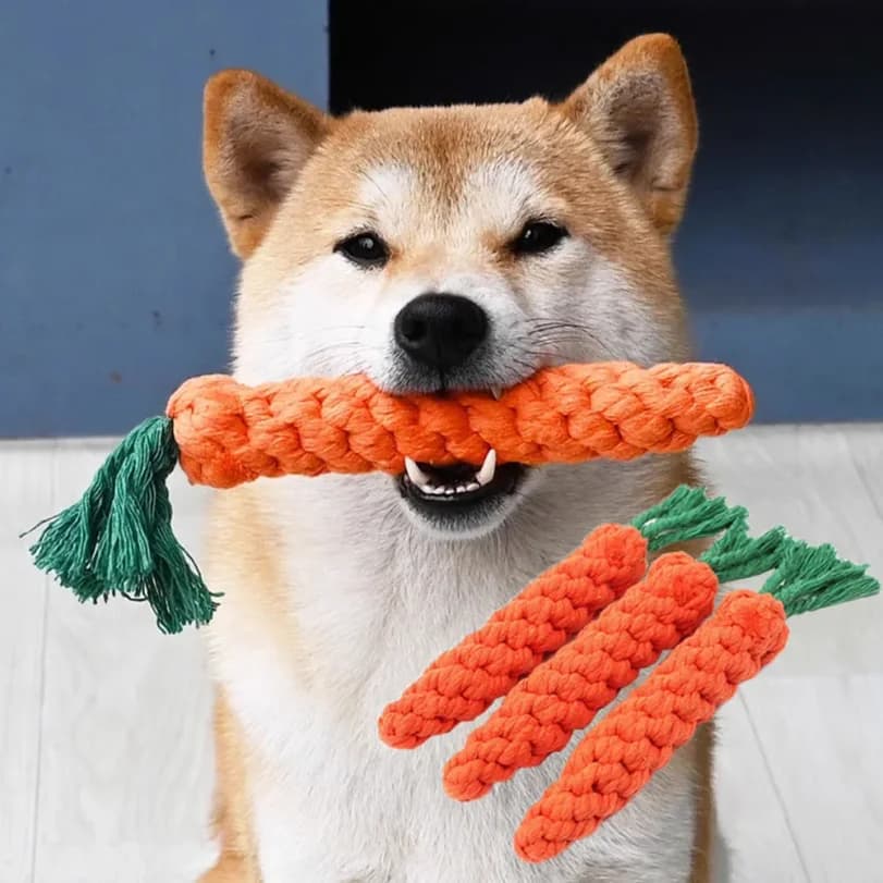 2 Pezzi Giocattoli per Cani a Forma di Carota, Corda Intrecciata Resistente per Masticare, Giocattoli Sicuri e Durevoli per la Pulizia dei Denti dei Cuccioli