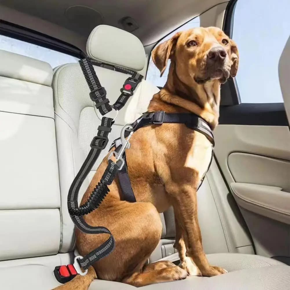 Cintura di sicurezza per cani Imbracatura per auto regolabile per cani Cintura di sicurezza Guinzaglio in nylon Cintura di sicurezza con imbracatura elastica di sicurezza