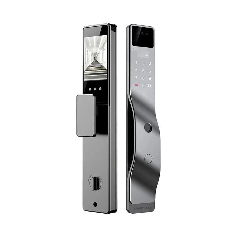 Graffiti WiFi Cloud Smart Door Lock Face Fingerprint Password IC Card Key App Unlock Active Intercom Wooden Door