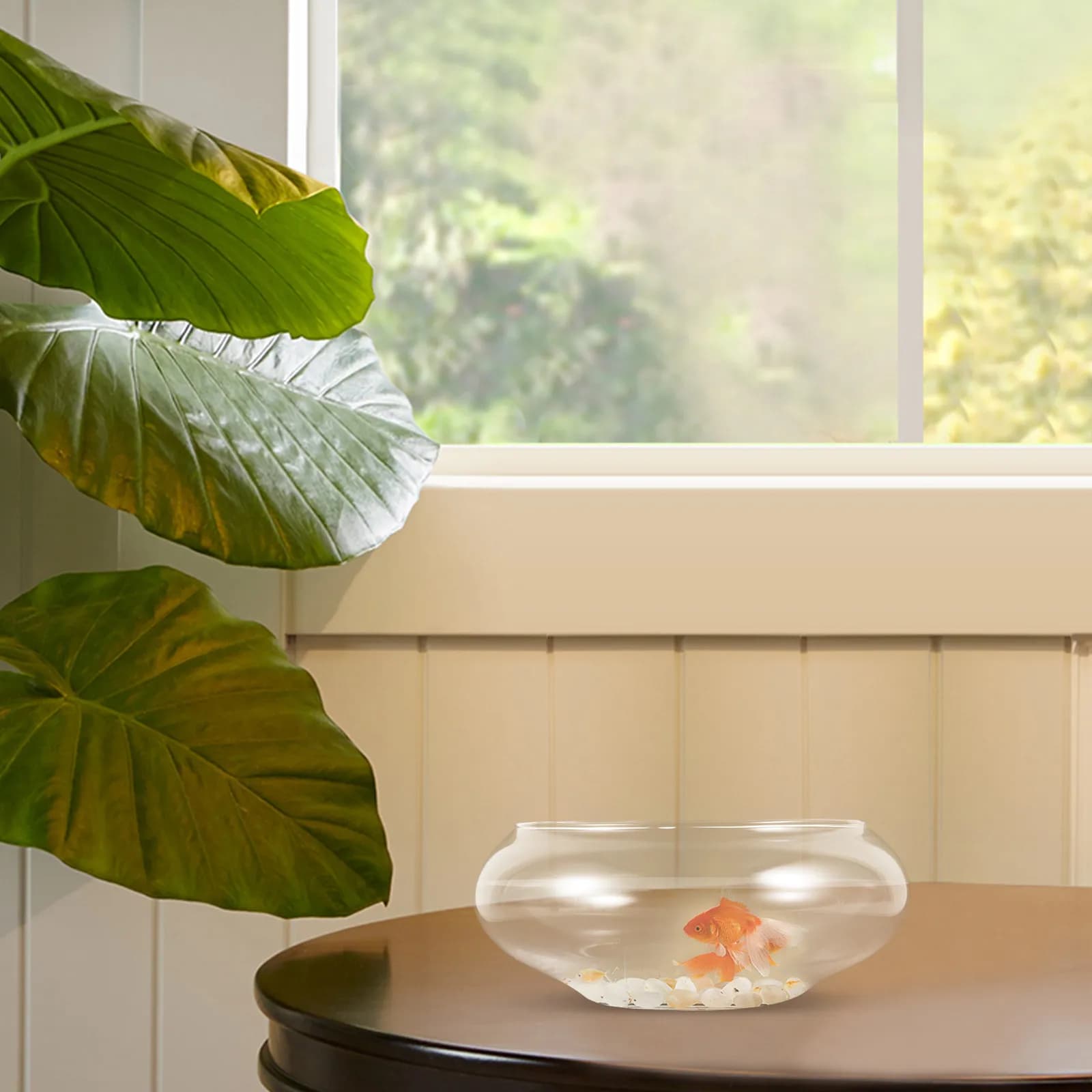 Glass Fish Bowl Desktop Aquarium Tank Clear Round Goldfish Bowl Hydroponic Plant Pot Micro Landscape Terrarium for Home Office