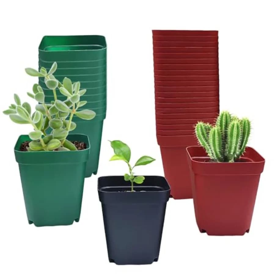 Plastic Square Vase for Seed 3" 120 Pieces, Deep Vases for Succulent, Small Jars for Flowers, Seed Vases with Fund, Green, Red 0pz E