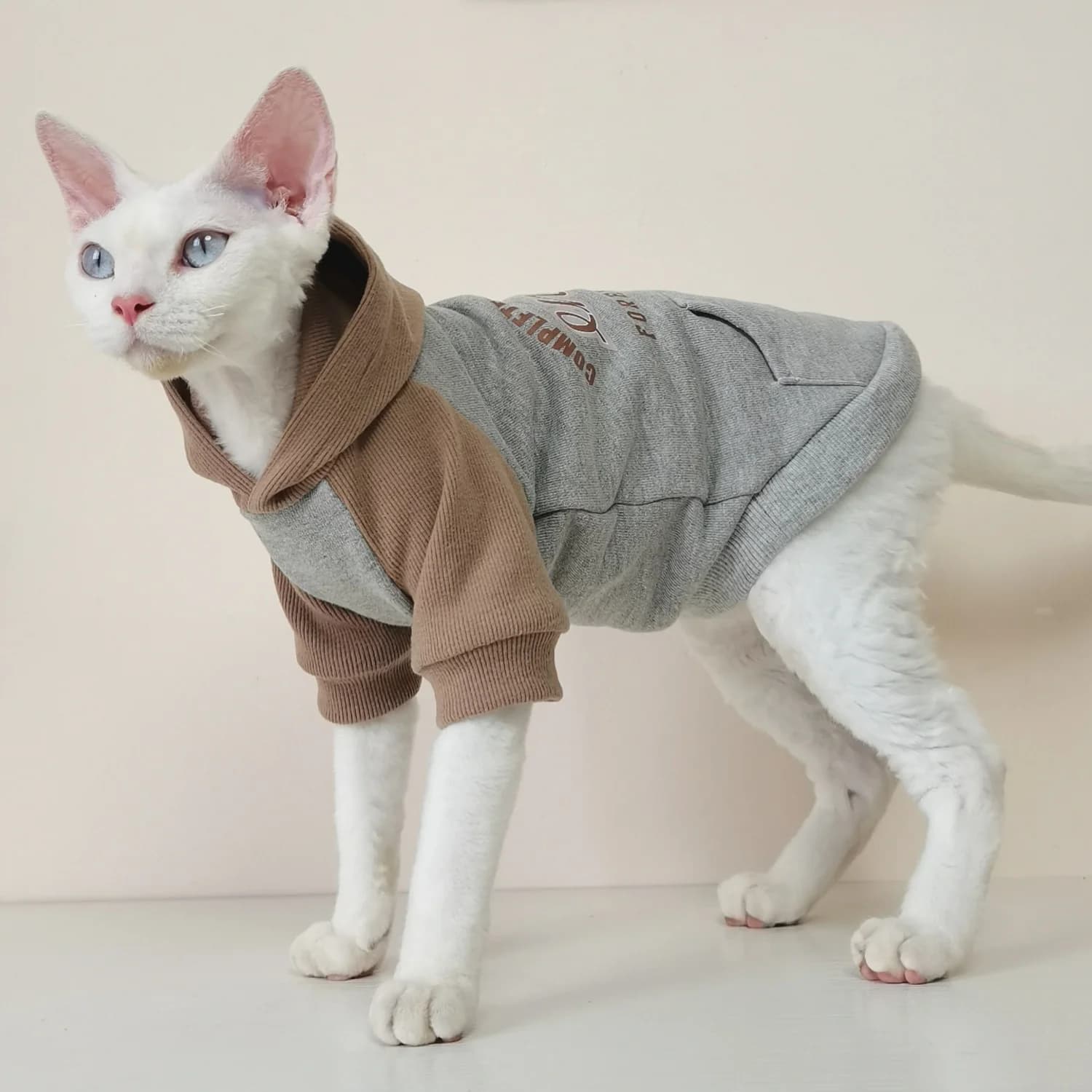 Felpa con cappuccio stampata con lettera per gatto Hireless in autunno inverno Cappotto in cotone per gatto maschile Costume caldo a maniche lunghe per Sphynx