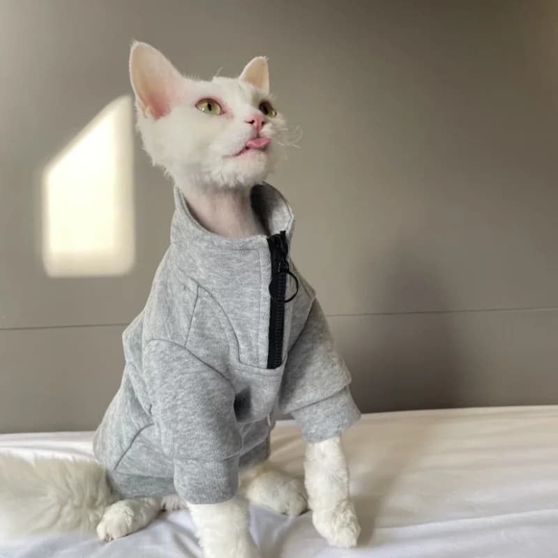 Felpa con zip grigia a collo alto per gatto Sfinge in cappotto caldo invernale per gatto senza peli Autunno Primavera Abbigliamento da casa morbido per Devon Rex