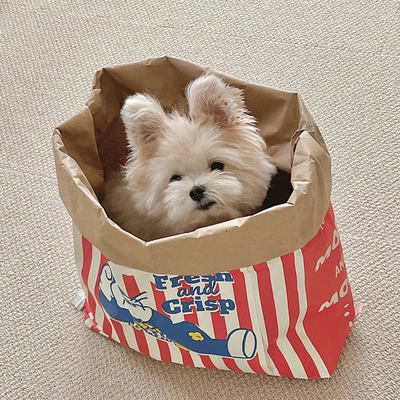 Giocattolo Creativo per Cani e Gatti, Sacchetto di Carta Kraft con Popcorn Nascosti, Gioco Antistress Masticabile