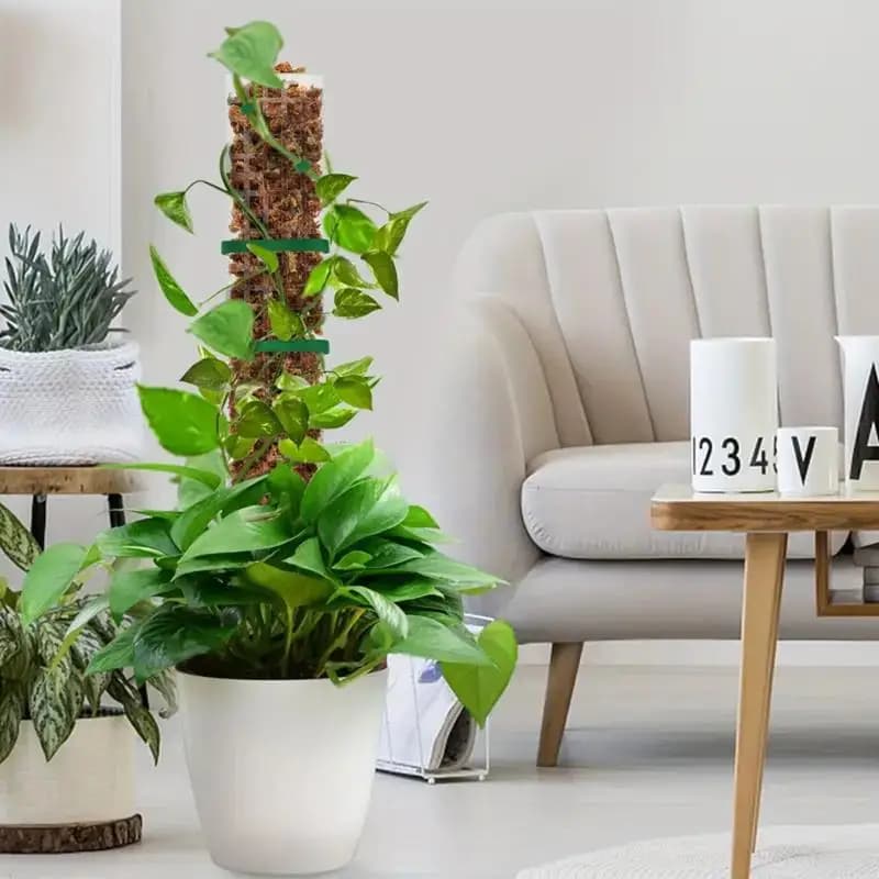 Moss Pole Plastic Plant Stand Indoor Climbing Plants Pot Moss Stick For Plants Growth Garden Support Accessories
