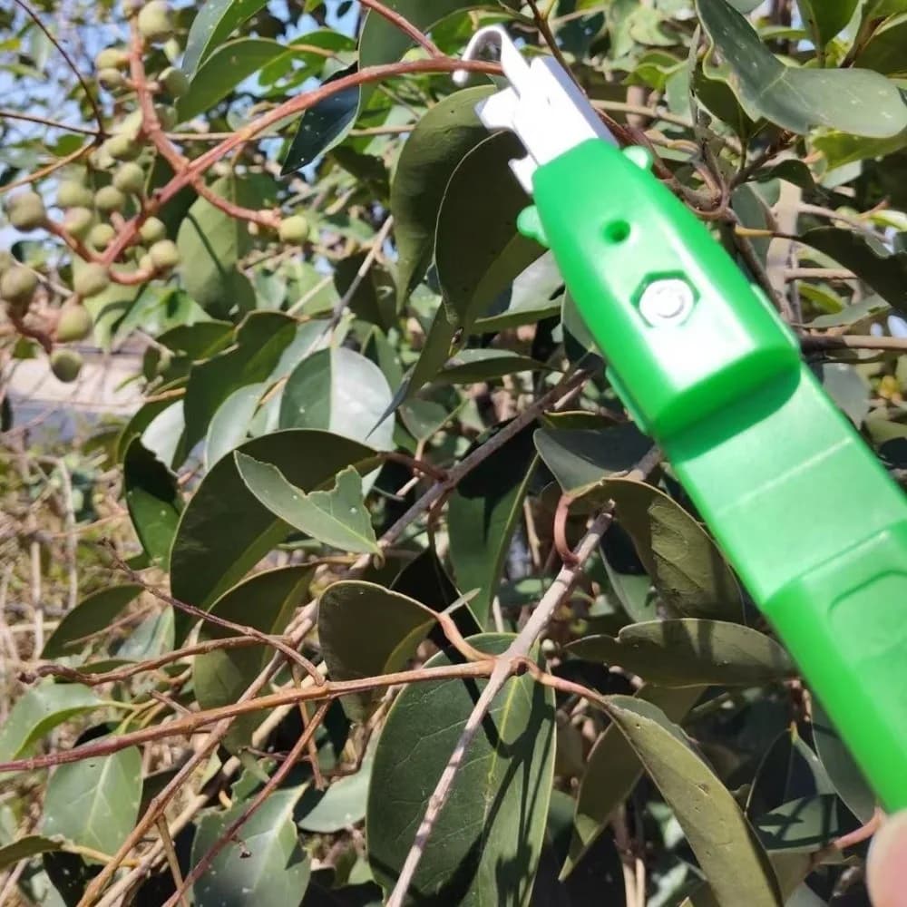 Attrezzo Portatile per Raccolta Bacche, Forbici Ergonomiche Anti-Perforazione per Frutta, Manico Antiscivolo, Cesoie Robuste per Rami e Fiori