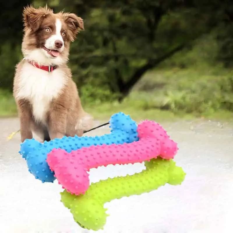1/3pcs Piccoli giocattoli da masticare per cani Spazzolino da denti in gomma per cani Giocattoli da masticare per addestramento Pulizia dei denti da masticare Giocattoli a forma di osso per animali domestici