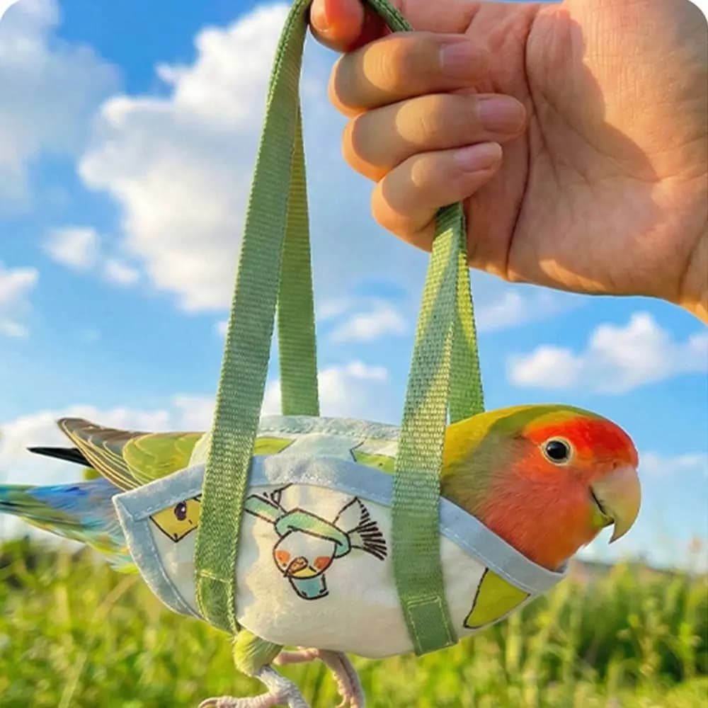 Sacco da Trasporto Traspirante per Porcellini d'India, Borsa Morbida Antivento per Pappagalli, Borsa Leggera per Pappagalli con Motivo Casuale, Accessori per Animali Domestici