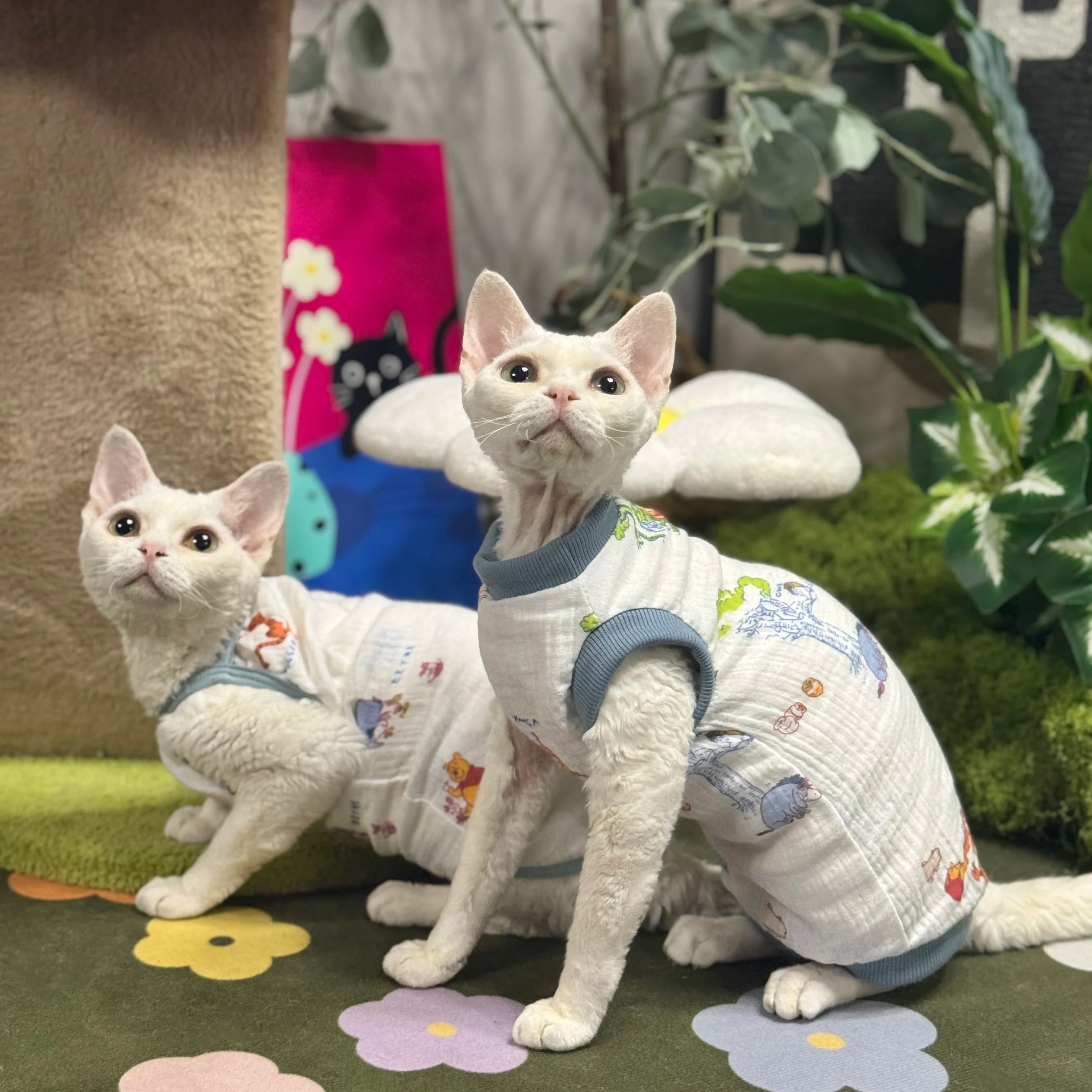 Gilet estivo simpatico cartone animato per gatto senza peli T-shirt in cotone senza maniche per Sfinge in pigiama morbido primaverile per gattini Devon Rex