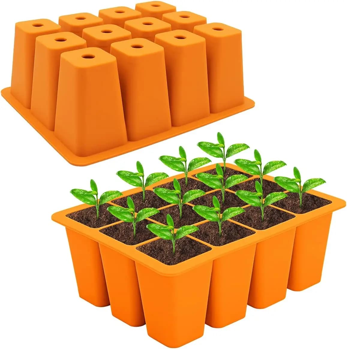 Departure trays for seeds in Silicone reusable for seed germination and propagation of plants seeds of plants planting plants