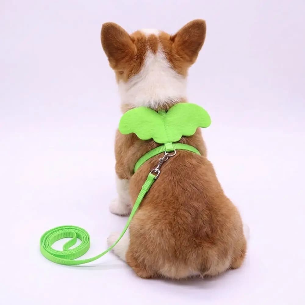 Guinzagli per cani e gatti con ali d'angelo, 120 cm, robusto guinzaglio per cuccioli, leggero, verde, pettorina per animali domestici per passeggiate all'aperto