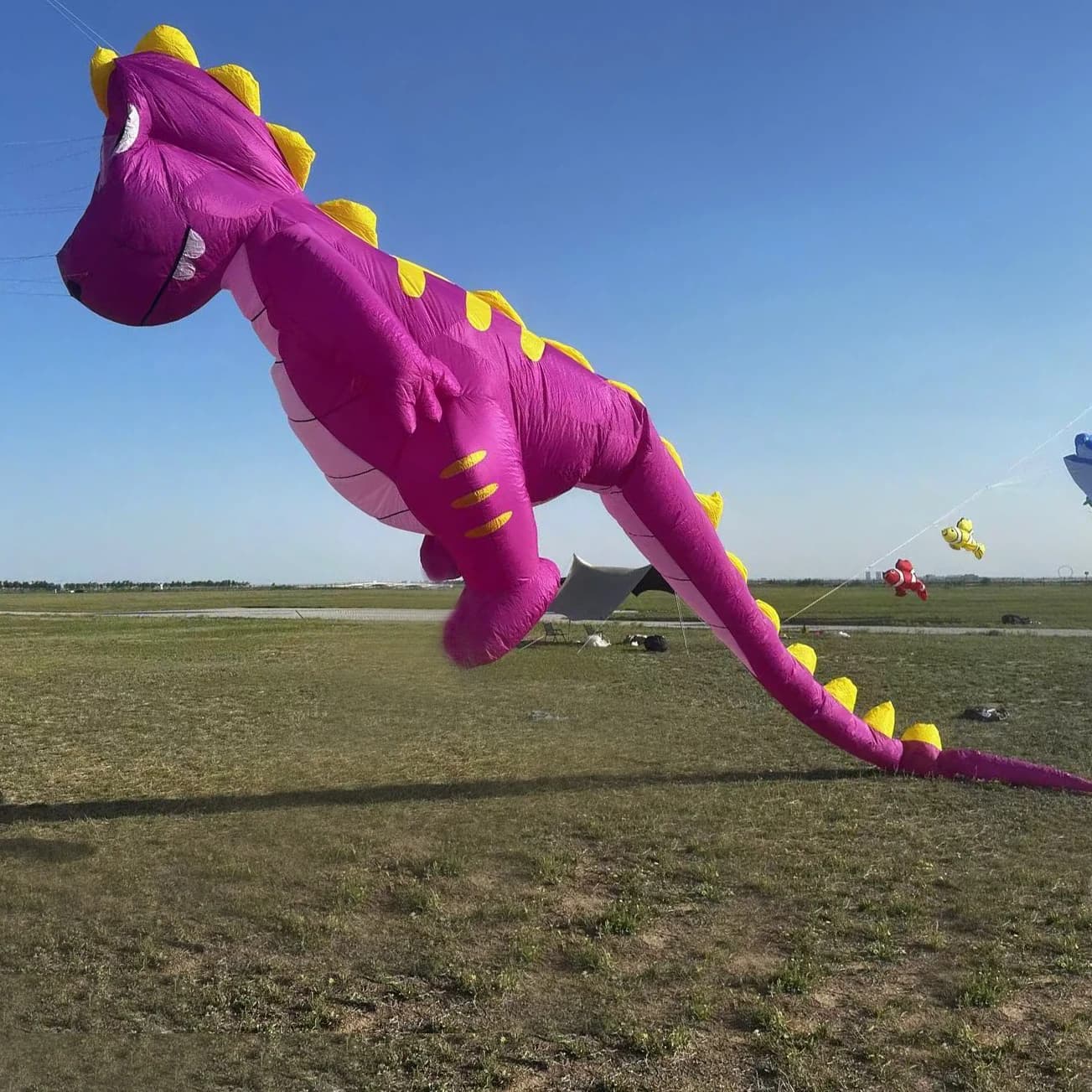 9KM 10m long tail dinosaur kit, soft and inflatable nylon ripstop, for kite festivals, with adult bag