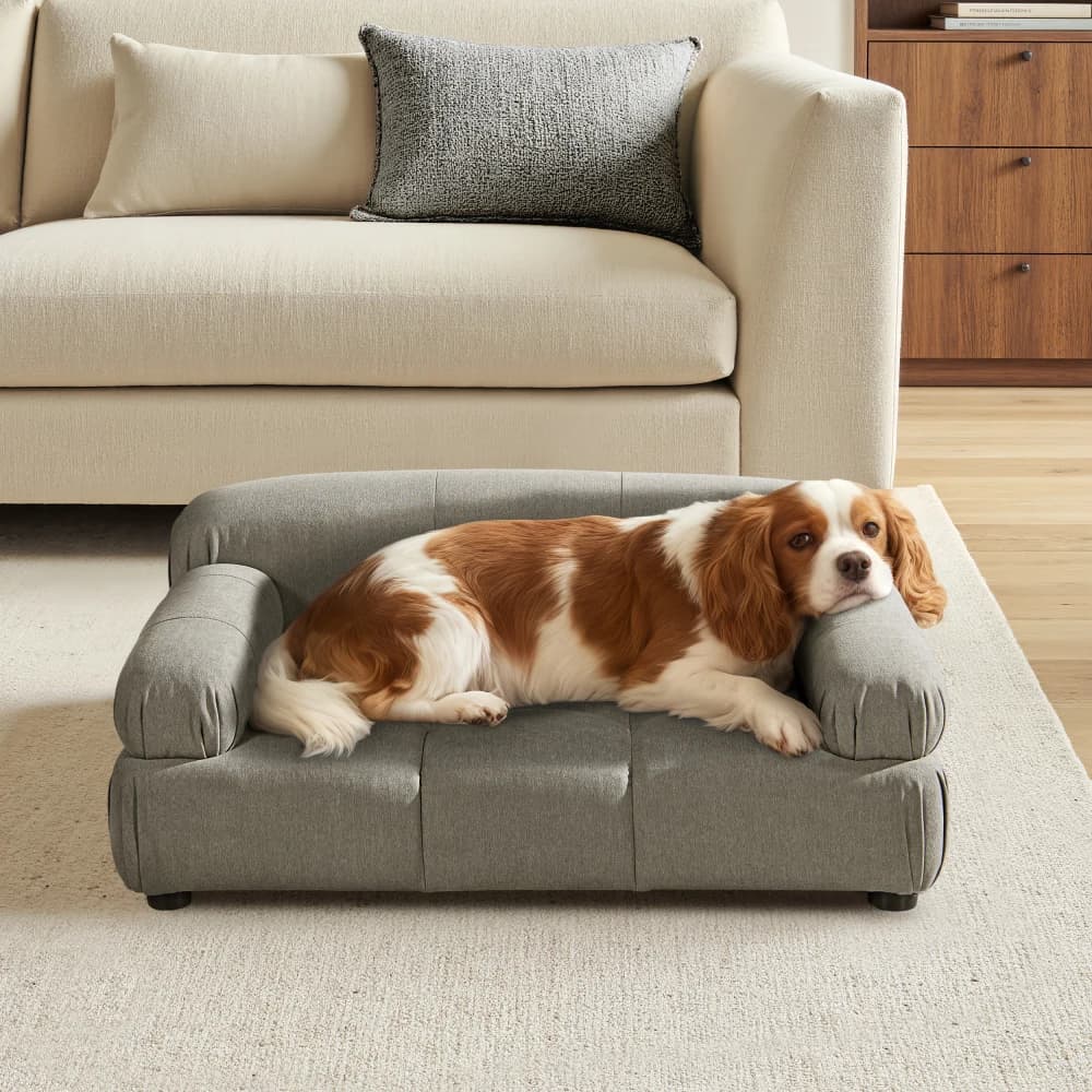 Ye Marcel Upholstered Modern Small - Medium Pet Bed for Dogs and Cats in Olive Green Velvet
