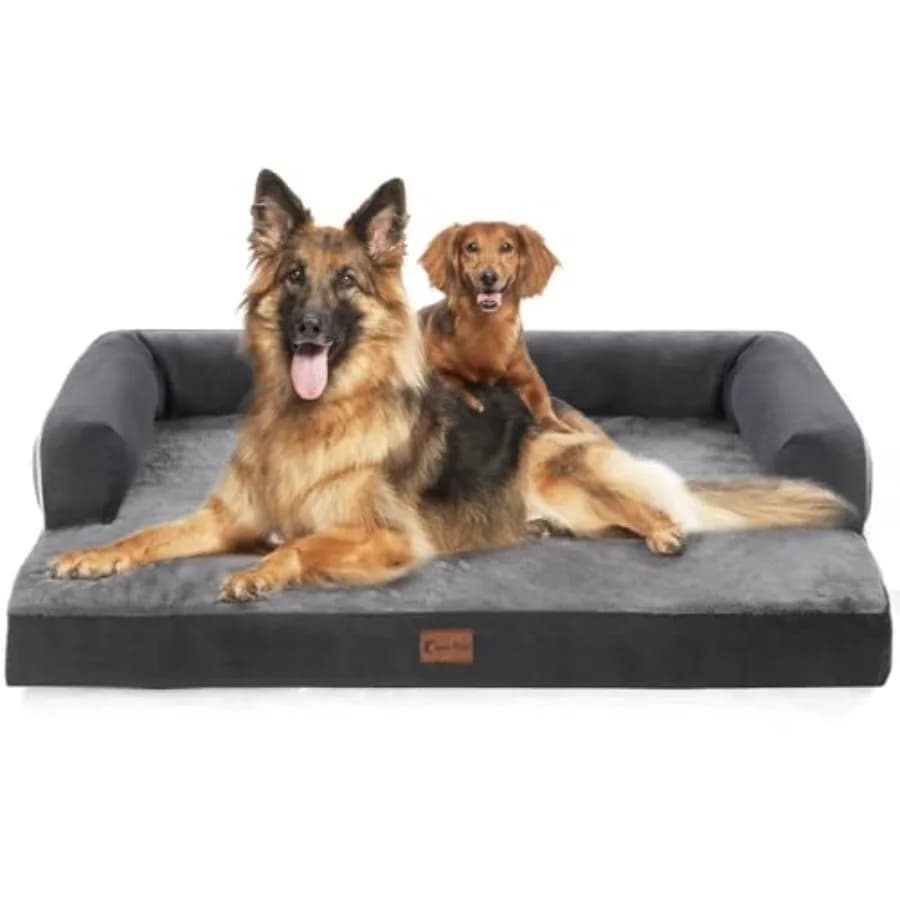 Cuccia Ortopedica XXL per Cani, Impermeabile, con Schiuma a Nido d'Ape, Letto Extra Large per Cani di Tutte le Taglie, 53x42 Pollici, Lavabile con Rivestimento Rimovibile