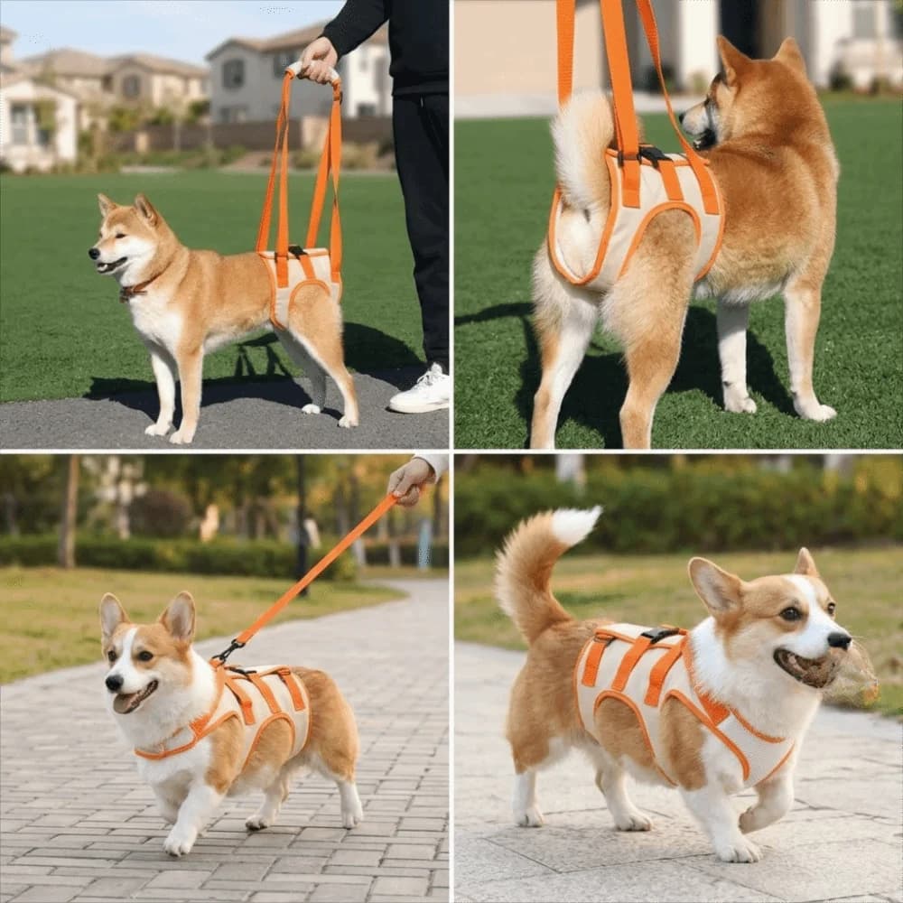 Imbracatura di Sollevamento per Cani con Cinghie Regolabili, Struttura Leggera, Rete Traspirante, Cinghia di Supporto per Cani, Maniglia Imbottita, Fibbie Regolabili