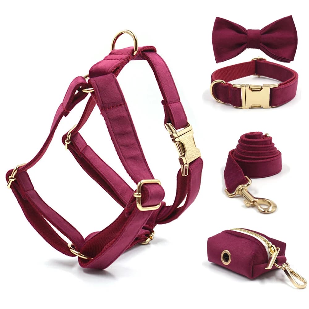 Collare per cani in velluto bordeaux personalizzato con fibbia in metallo addensato, imbracatura per animali domestici, collare con papillon, set di guinzagli con borsa per cacca, regalo per cani di lusso