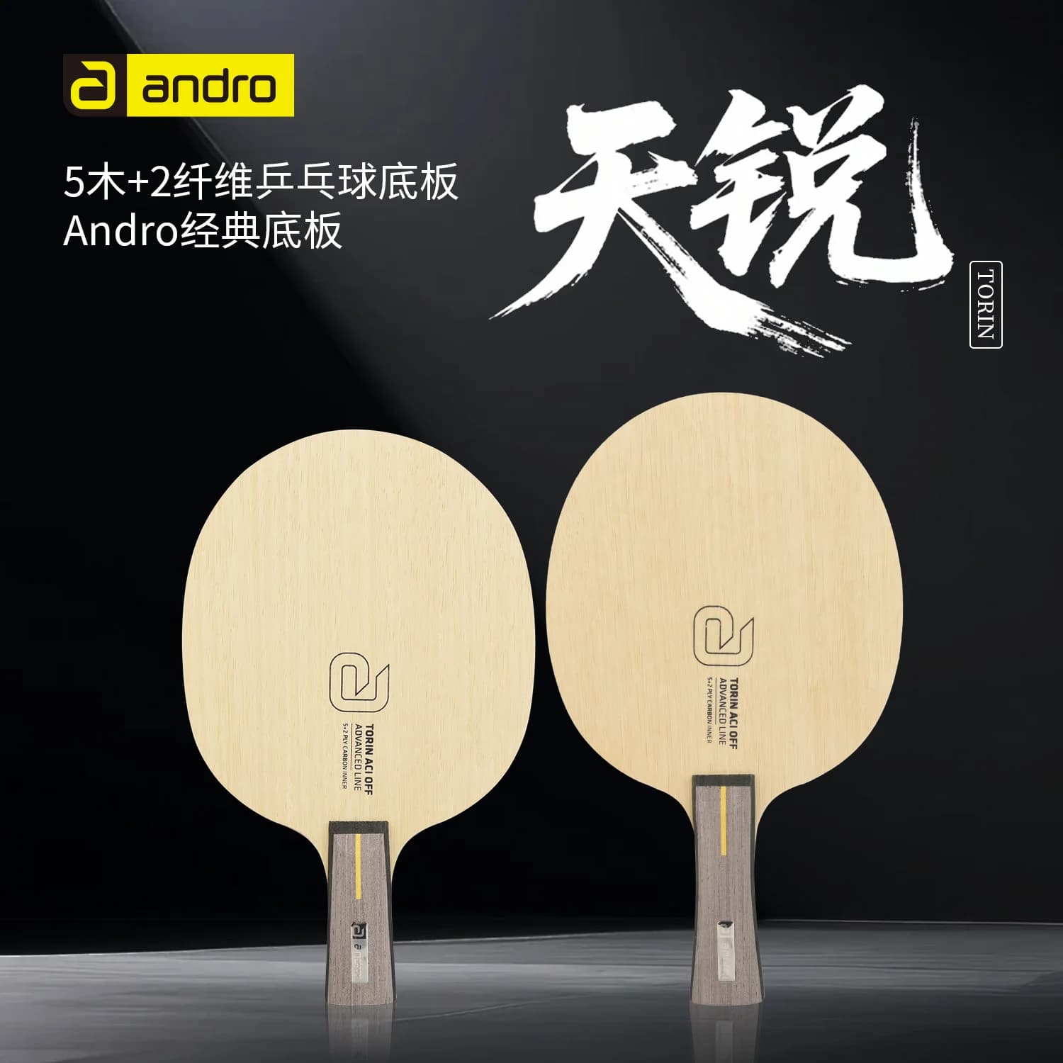 Racchetta da ping pong ANDRO TIANRUI