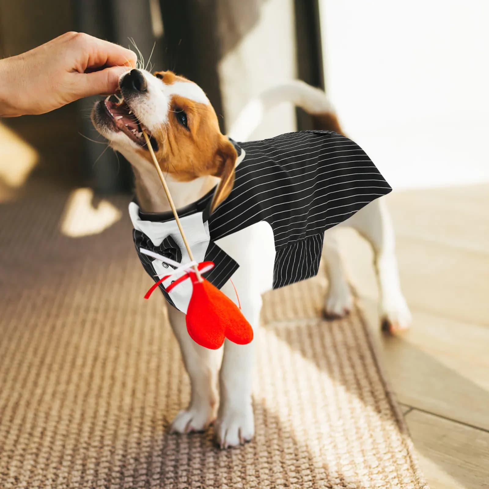 Set Completo: Abito da Cerimonia per Cani, Elegante e Resistente, con Foulard Triangolare, Ideale per Matrimoni, Feste e Servizi Fotografici Quotidiani