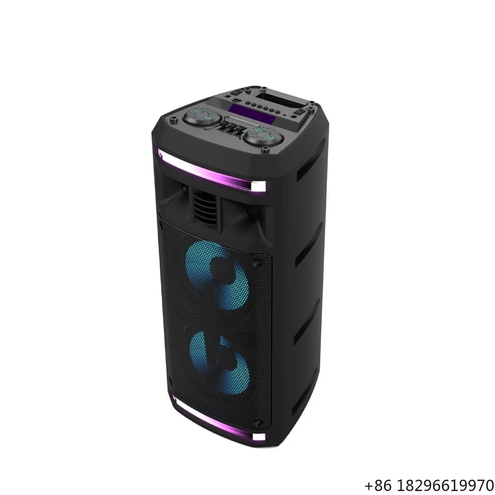 Altoparlante Bluetooth DJ da 6,5 Pollici Doppio, Cassa Audio Ricaricabile per Karaoke con Luci LED, Stereo Portatile per Esterni